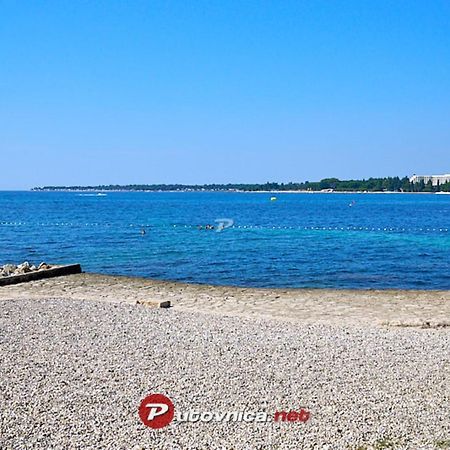Sun City Lifestyle 波雷奇 外观 照片